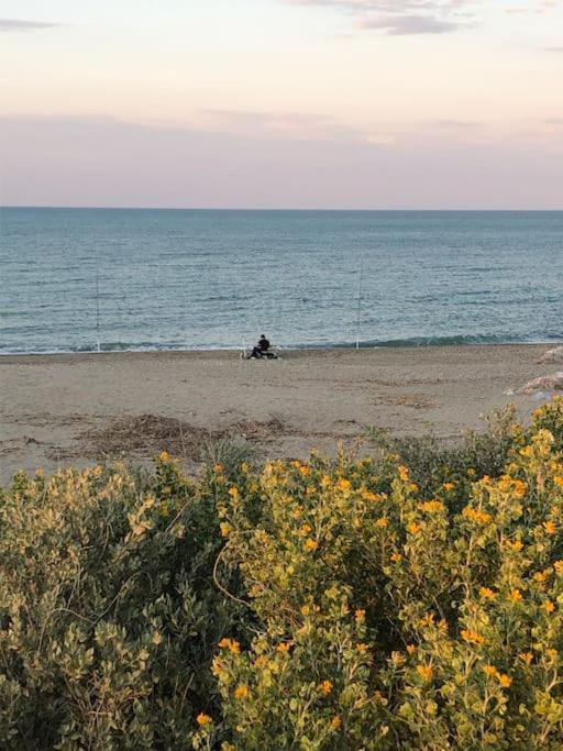 Logement Plage Saint-Cyprien  Esterno foto