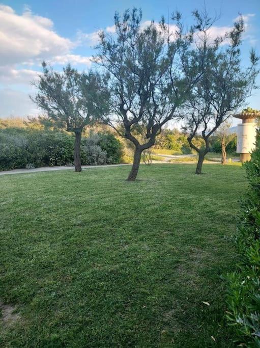 Logement Plage Saint-Cyprien  Esterno foto